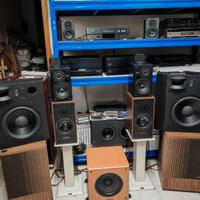 Diffusori bose 501 prima serie