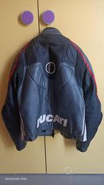 Giubbino Ducati moto