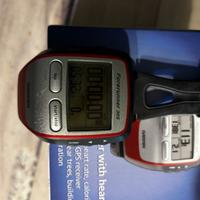 Garmin Forerunner 305