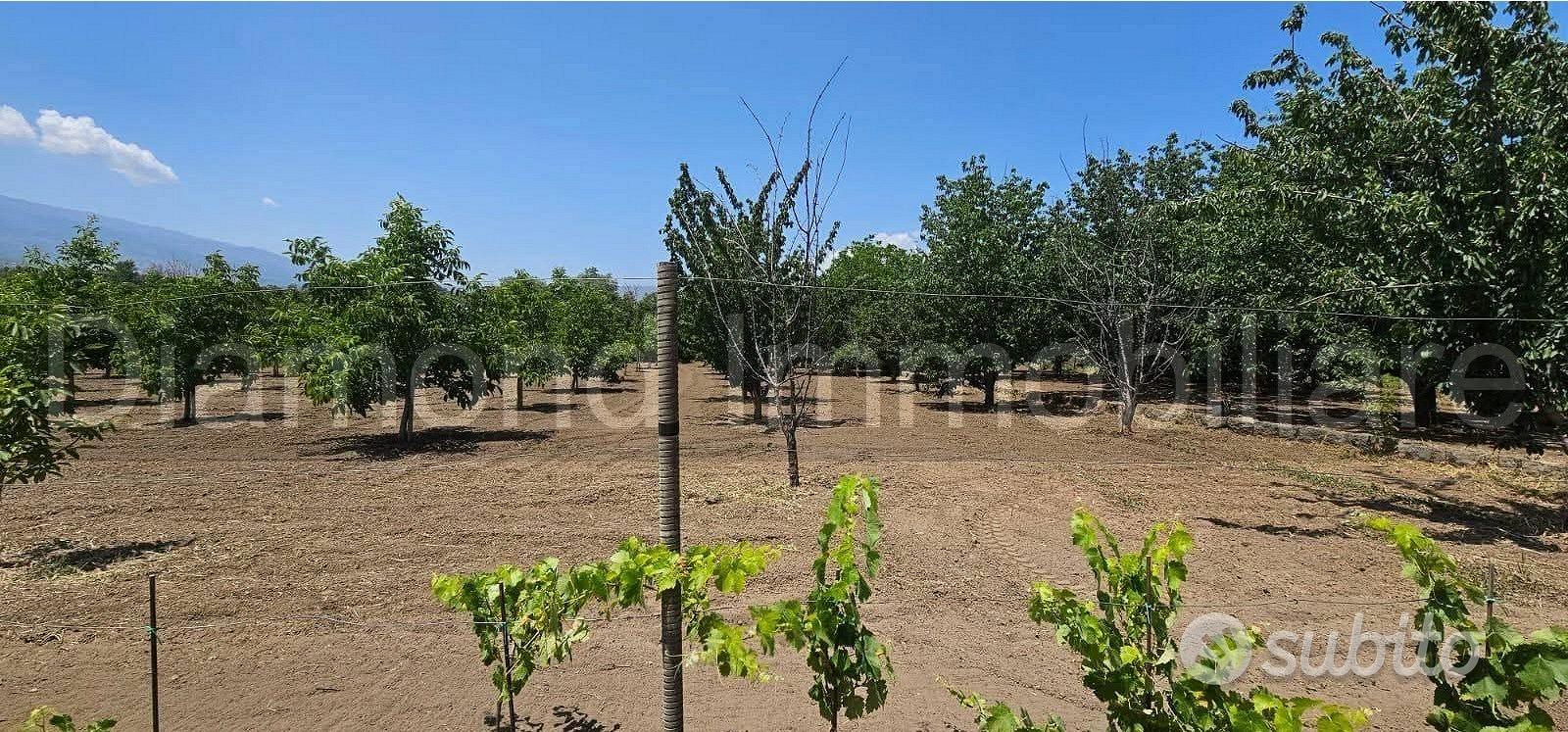 Terreno con rustico a Castiglione di Sicilia - Altro