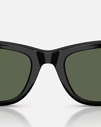 Ray-Ban Meta Wayfarer (Gen 2) RW4012