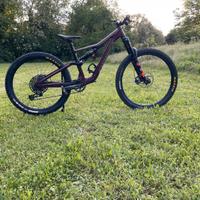 Orbea rallon 2023