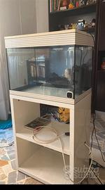 Acquario con mobiletto 