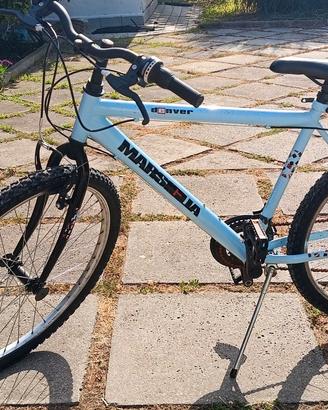 Bicicletta