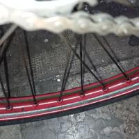 Bici da lavoro/mestieri zaninetti Torino 