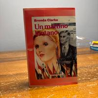 Un mattino lontano Brenda Clarke 1980