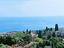 Immagine 19