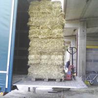 Fieno in ballette per cavalli