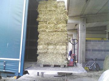 Fieno in ballette per cavalli