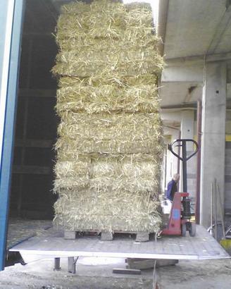 Fieno in ballette per cavalli