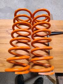 Molle Defender + 5 cm