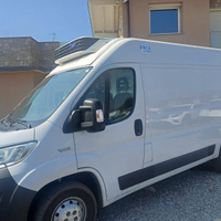 Fiat ducato furgone frigo meno 20 gradi