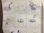 Immagine 5
