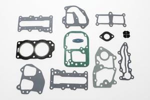 Kit guarnizioni Evinrude 9.9