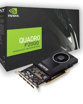 Scheda video Nvidia Quadro P2000