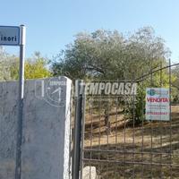 Indipendente Segasidda MinorI