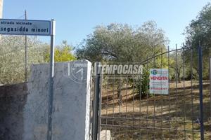 Indipendente Segasidda MinorI