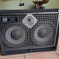 swr goliath junior 2x10