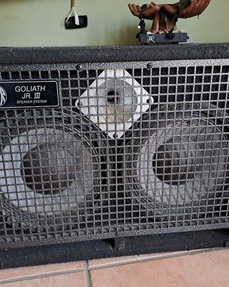 swr goliath junior 2x10