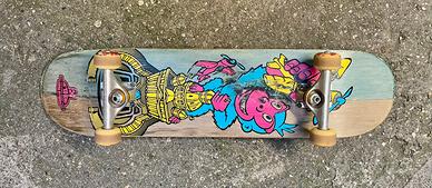 Skateboard professionale 
