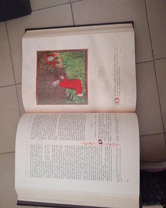 bibbia
