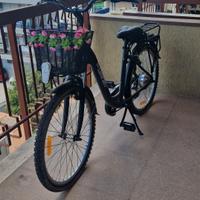 bici elettrica 