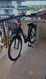 bici elettrica 