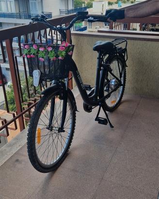 bici elettrica 