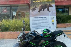 Kawasaki Z 900 125 cv Full Power 05/2024