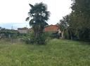 terreno-edificabile-con-rustico-040
