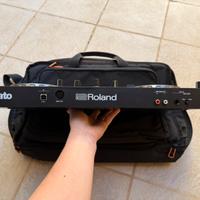 Roland 202