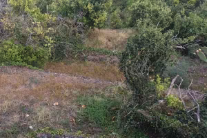 Terreno di 6900 m² a Acireale