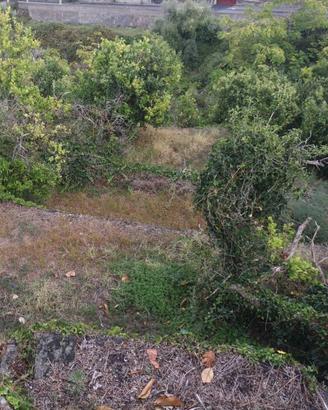 Terreno di 6900 m² a Acireale
