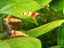 Immagine 6