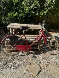 Bici da donna 26