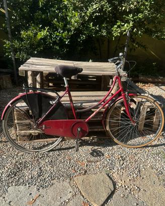 Bici da donna 26