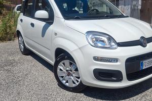 Fiat Panda 1.2 EasyPower Easy unico proprietario