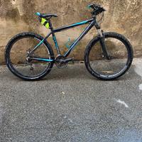 MTB daytona