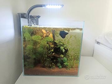 Acquario completo 