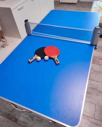 Tavolo da Ping Pong 