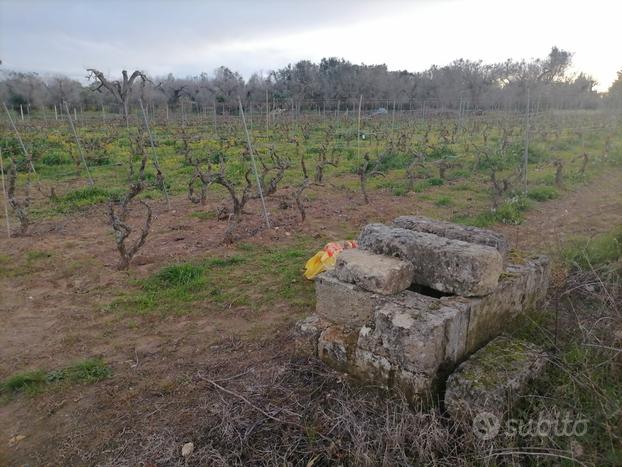 Terreno agricolo