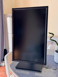 monitor asus pa249q proart