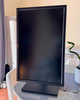 monitor asus pa249q proart