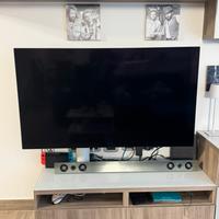 TV LG OLED 55”