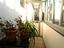 Immagine 28