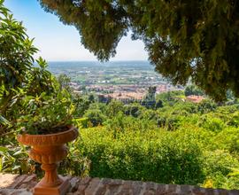 VILLA UNICA NEL SUO GENERE, IMMERSA NEL VERDE!