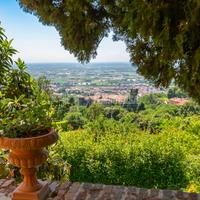 VILLA UNICA NEL SUO GENERE, IMMERSA NEL VERDE!