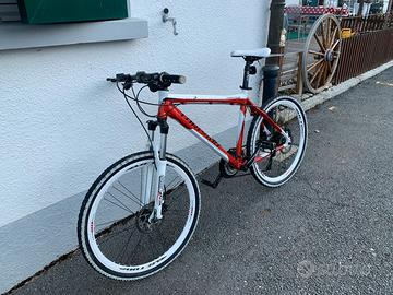 Bici Torpado MTB lightrace 2