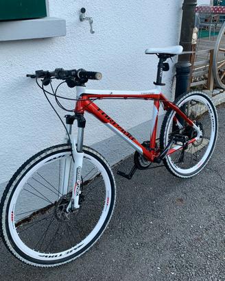 Bici Torpado MTB lightrace 2