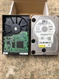 HARD DISK Western Digital 500GB